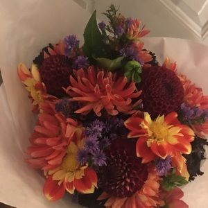 Meet your Posher, Donna